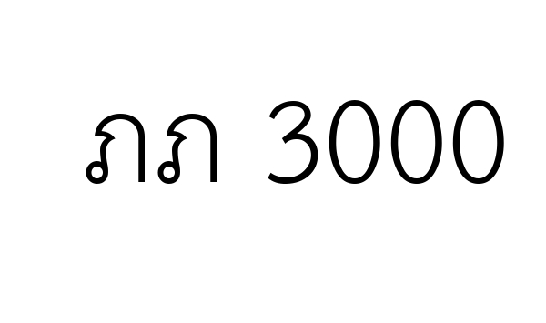ภภ 3000